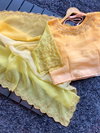 IV By Jn Premium Crunchy Crush 3d Padding Saree With Full Handwork Saree Bulk Orders In India